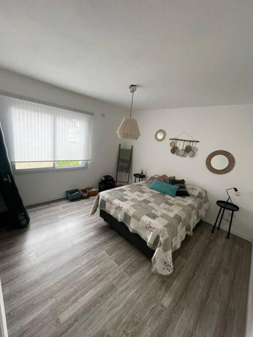 Confort, luminosidad y belleza