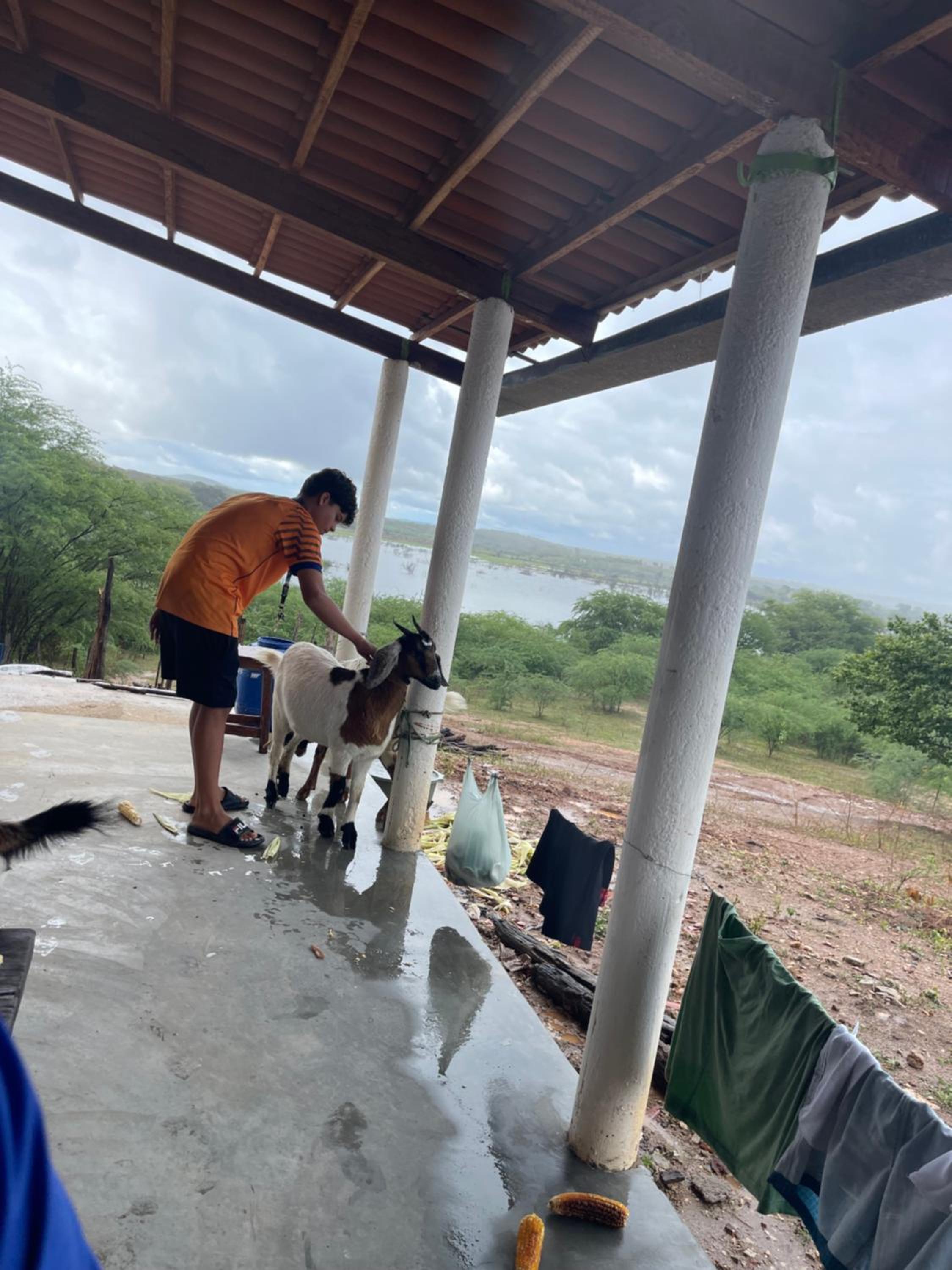 ILHA do AMOR BARRAGEM INGAZEIRA PE