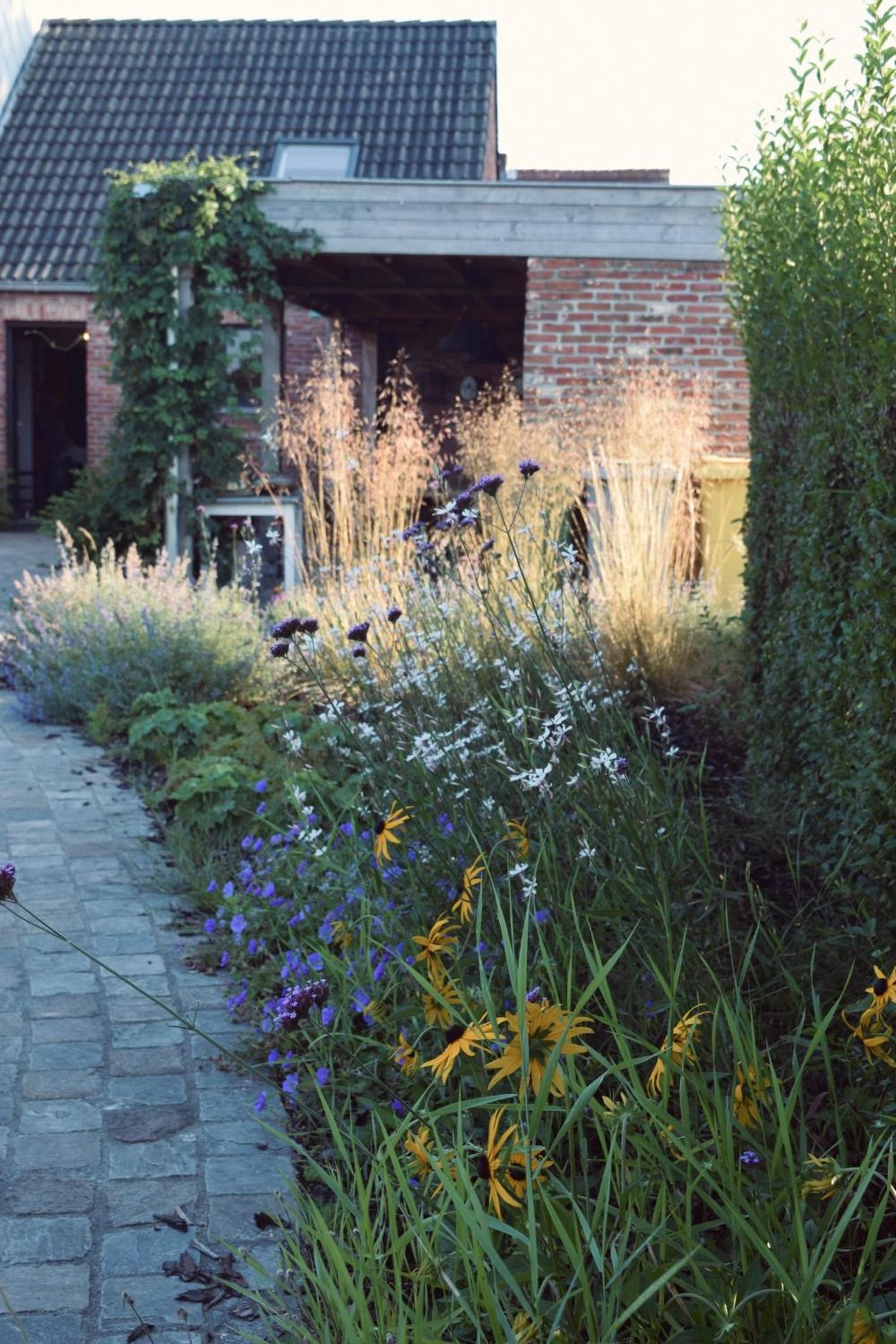 Vakantiewoning de Huismus