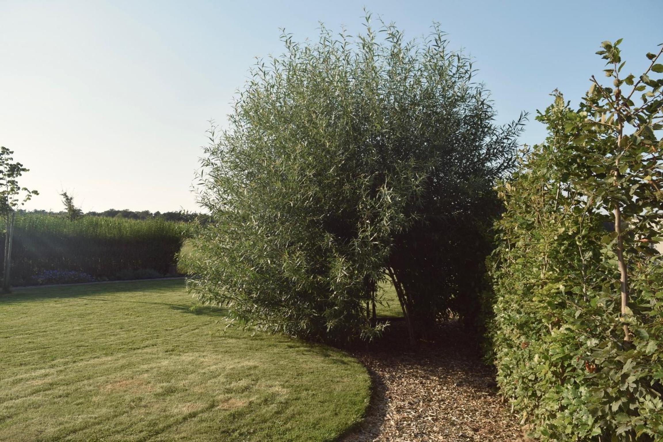 Vakantiewoning de Huismus