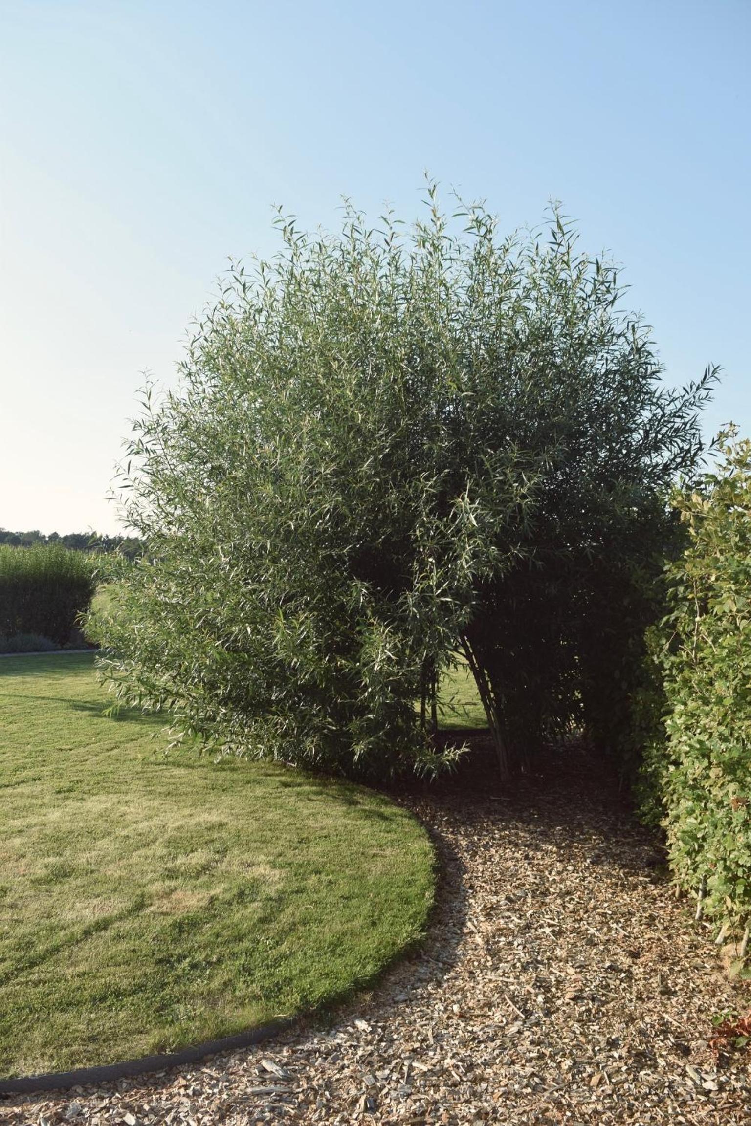 Vakantiewoning de Huismus