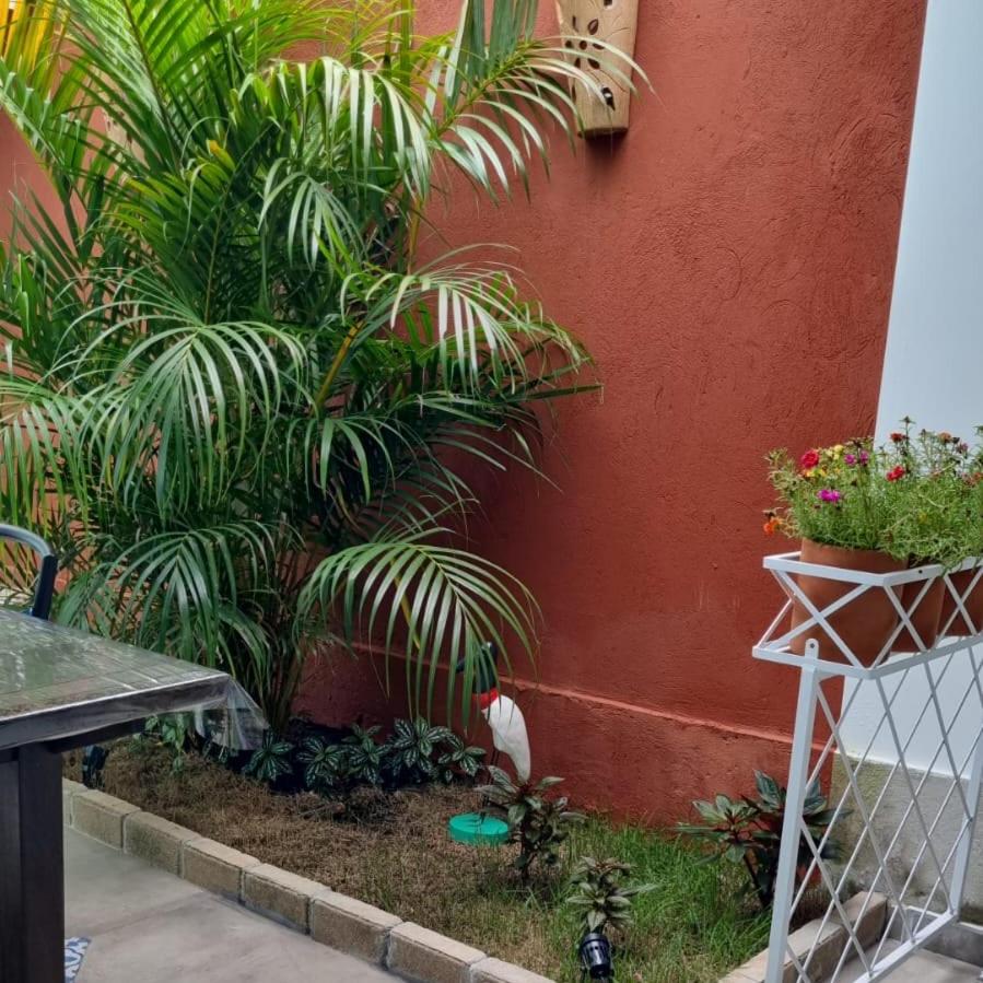 Pérola de Bombinhas