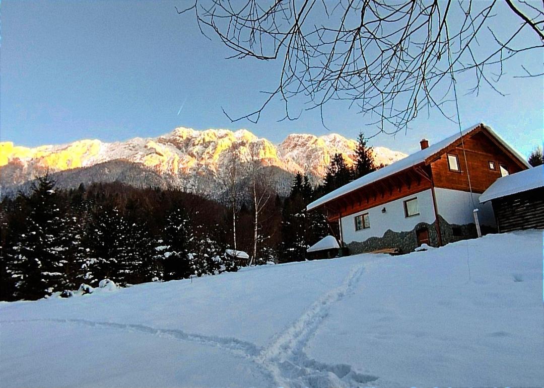 Cottage Piatra Craiului view 2