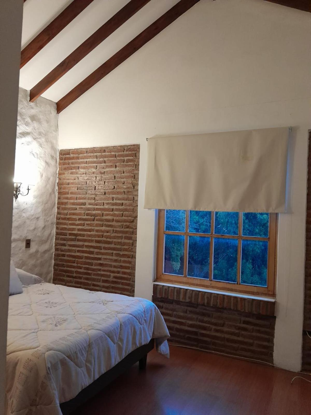 Estrellas de Elqui