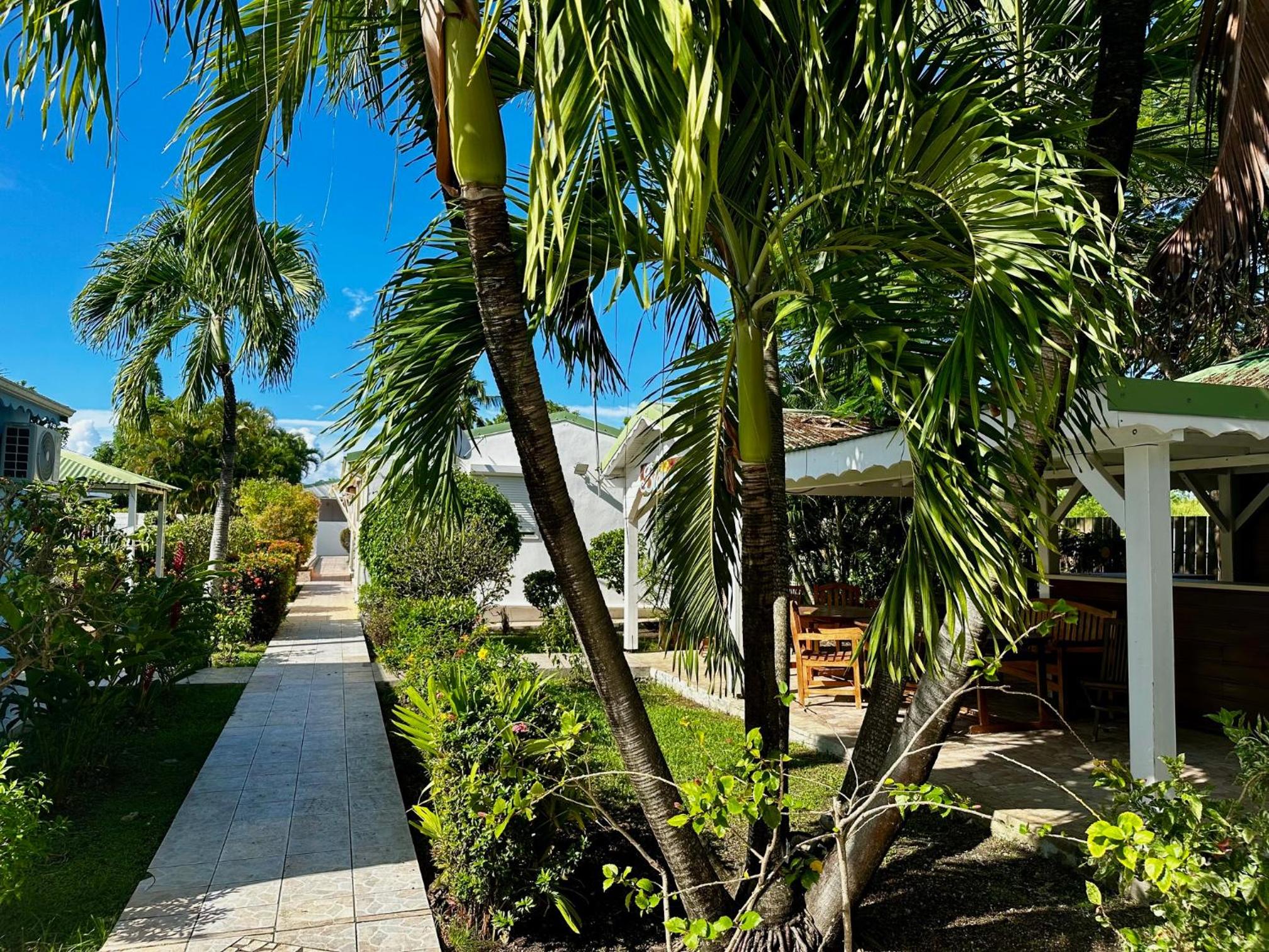 Le Jardin des Hibiscus view 4