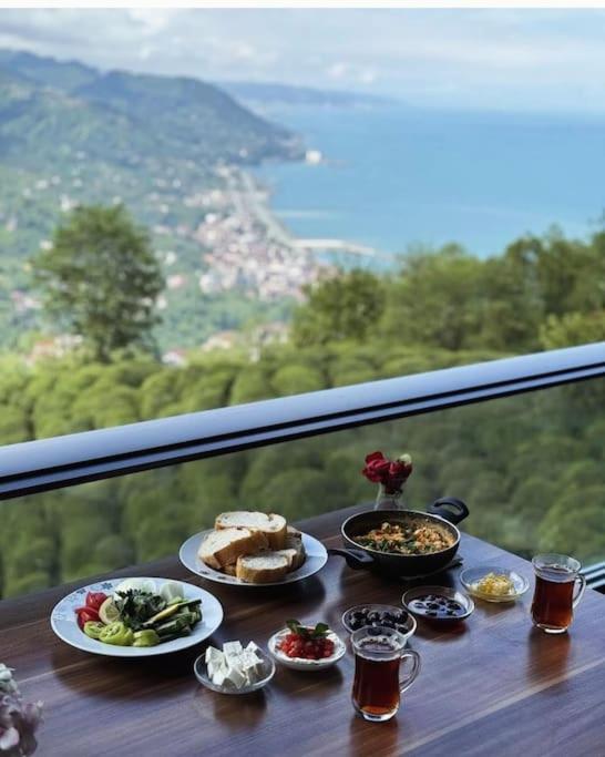 Müthiş manzaralı korudağevi