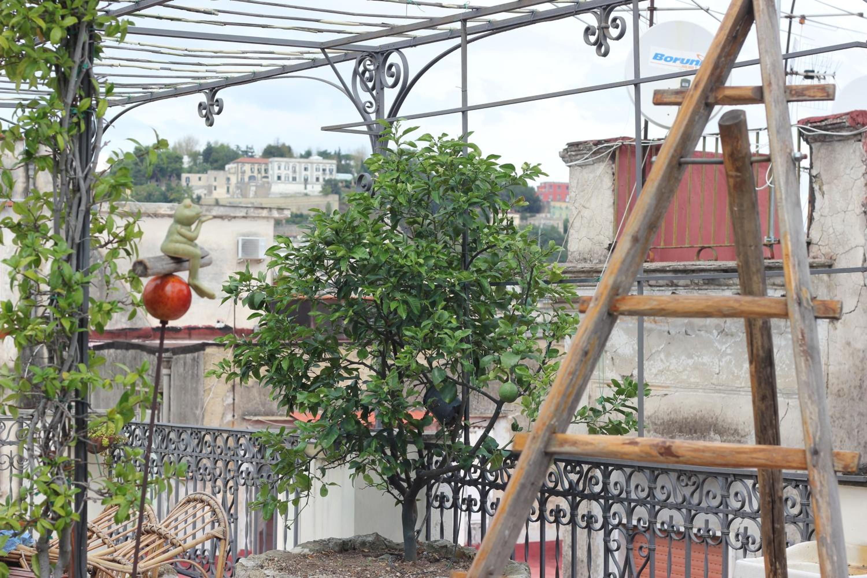 roof
