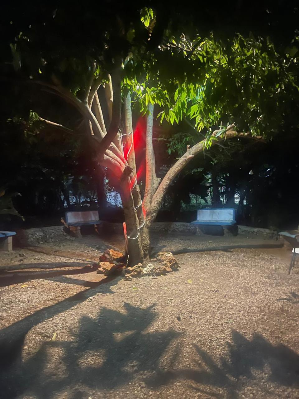 Villa los Girasoles