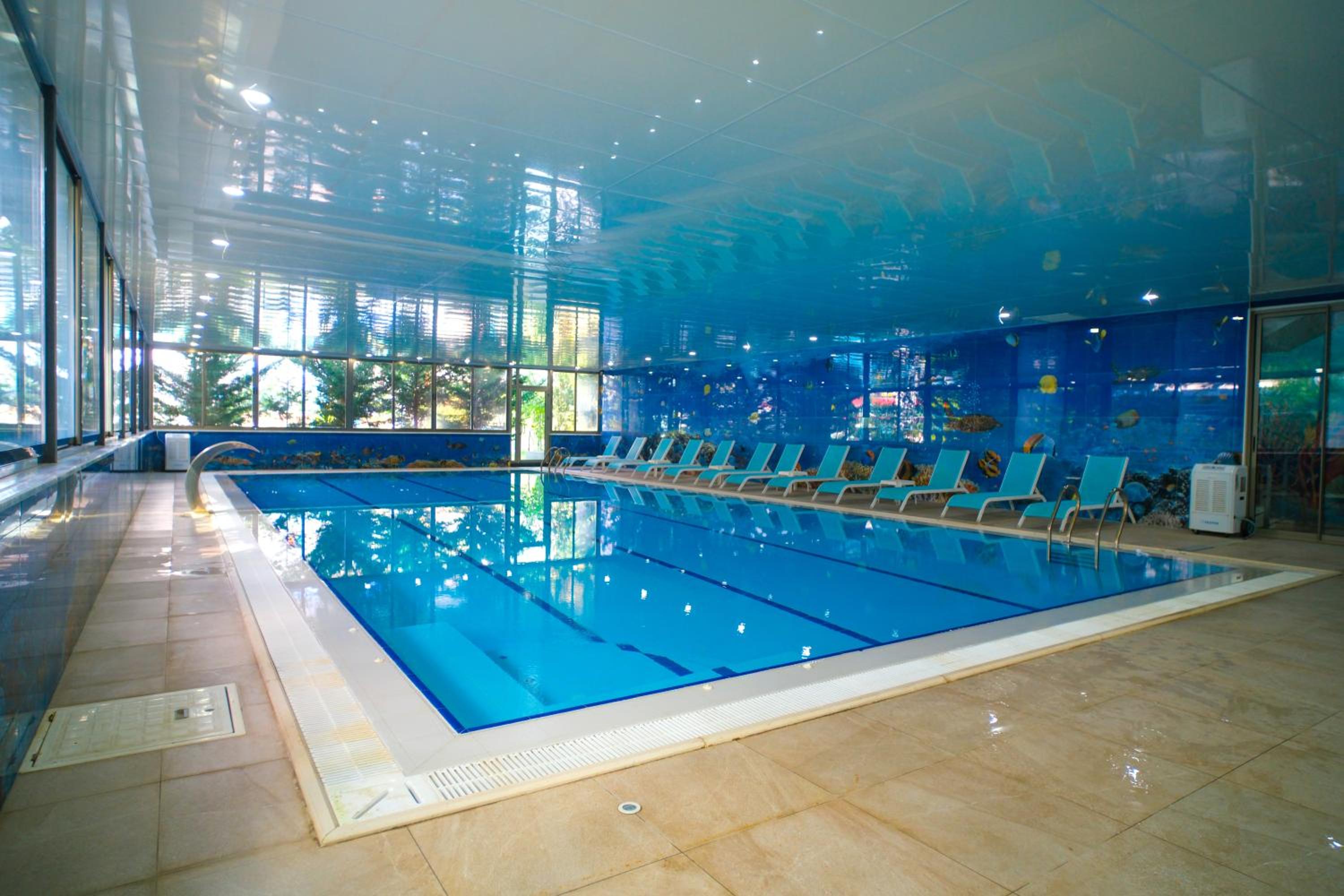 Graf Victor Otel - Image 72