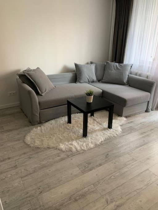 Cozy, newly and modernly furnished apartment view 2