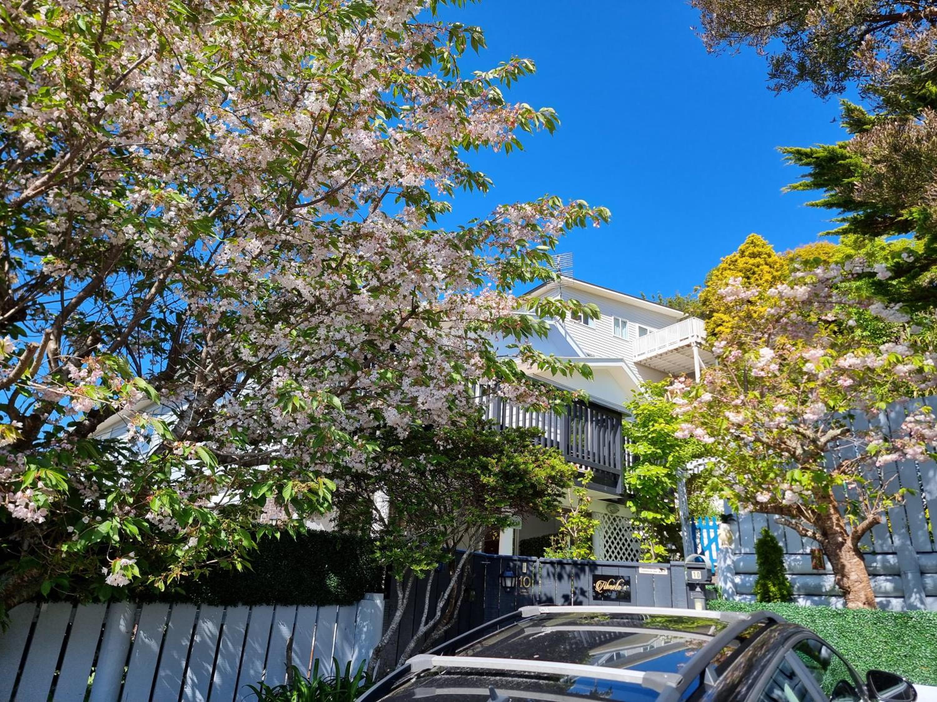 Entire ground floor with full-privacy and family-friendly popular to ferry catchers view 3