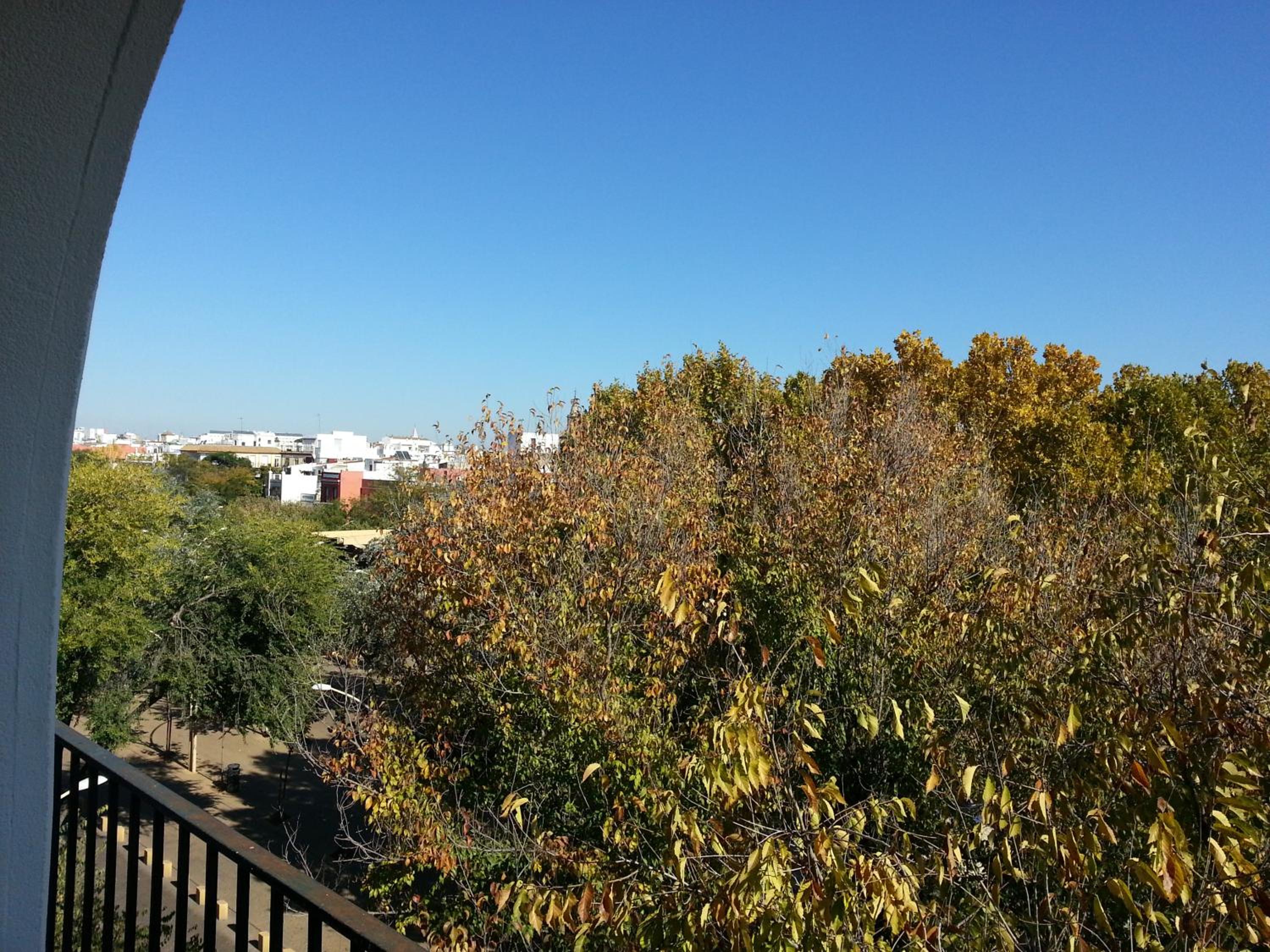 Alameda Gran Vista