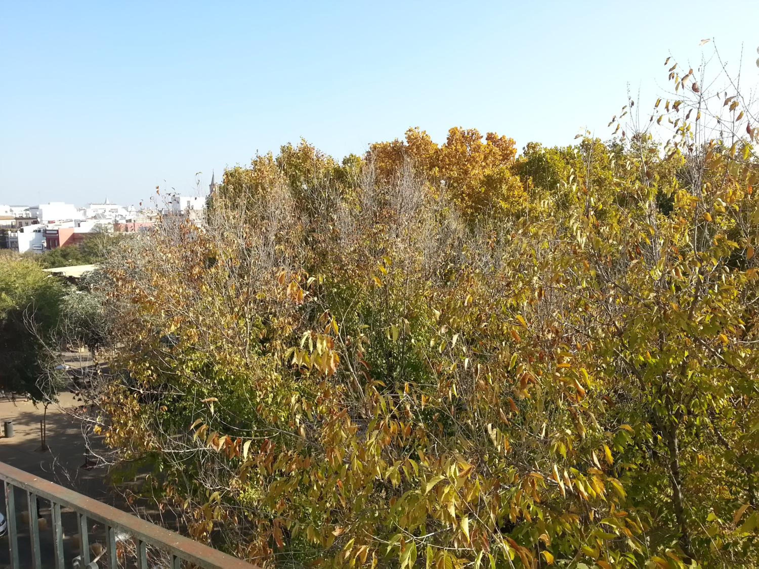 Alameda Gran Vista