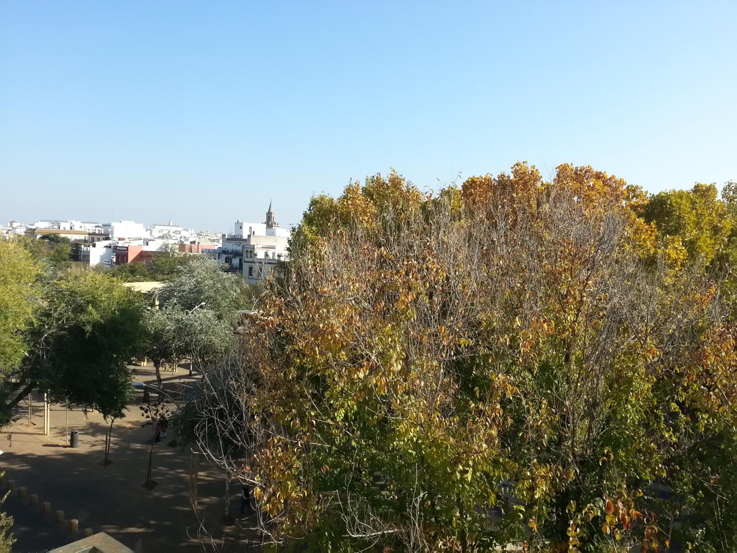 Alameda Gran Vista