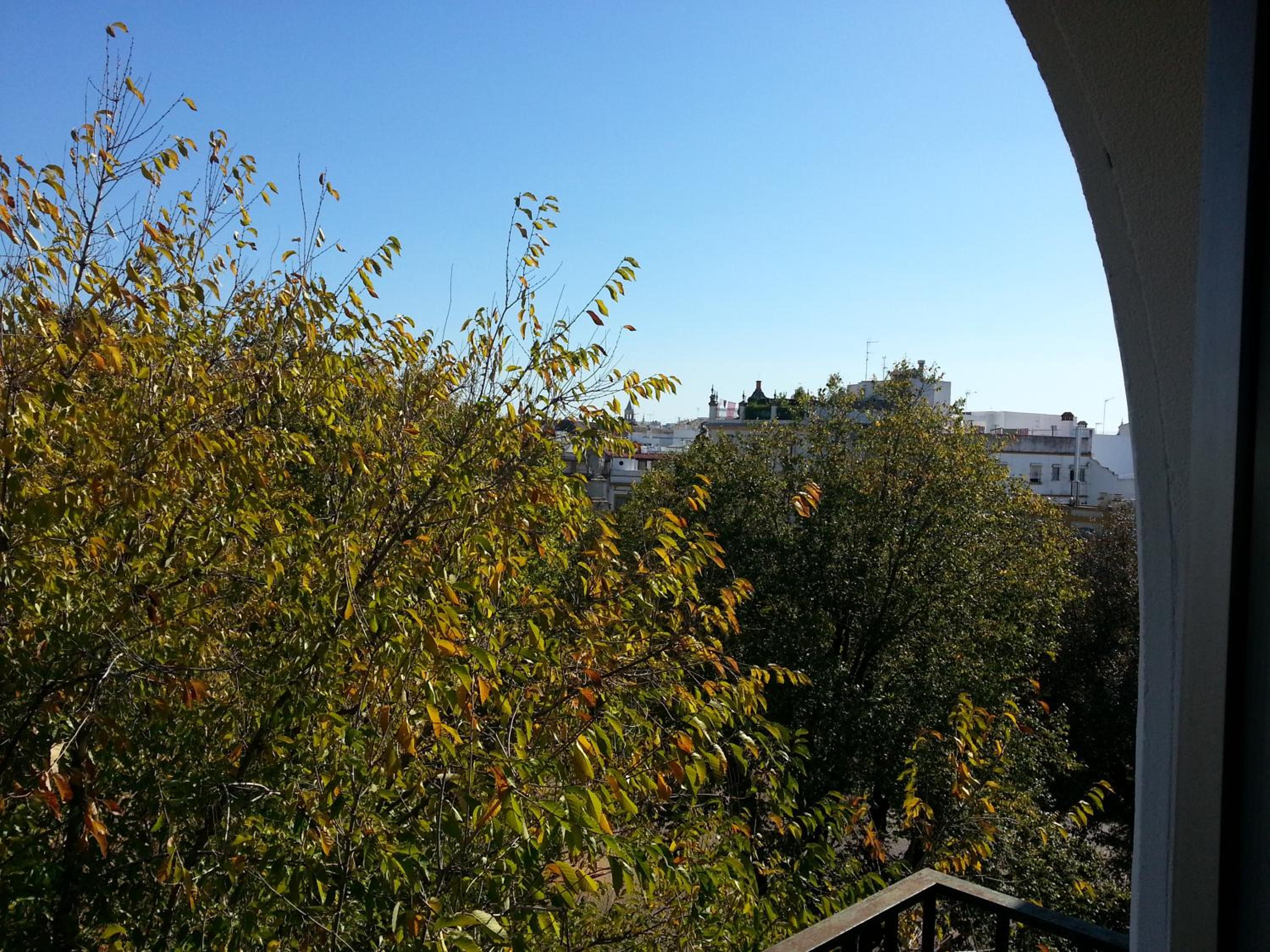 Alameda Gran Vista
