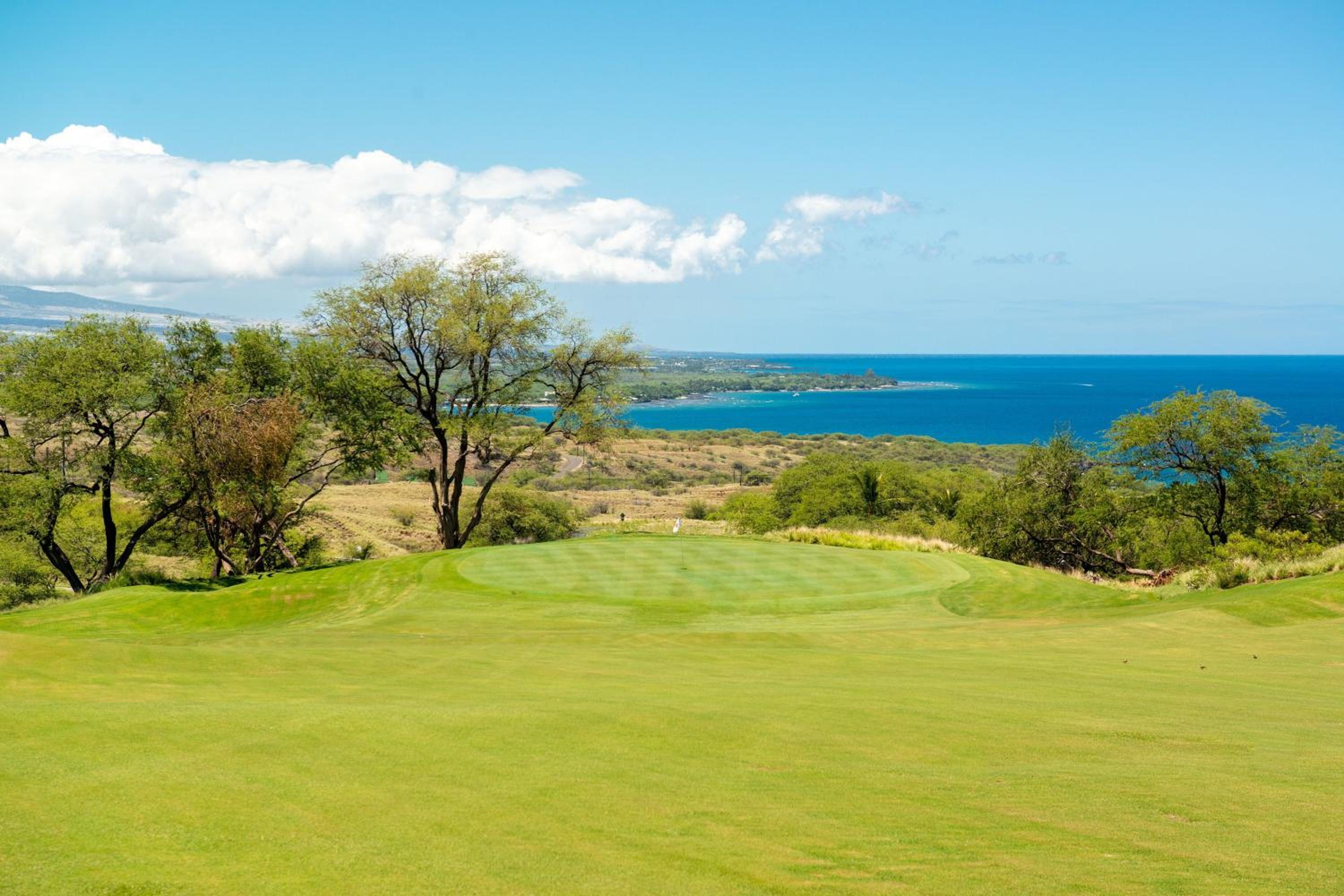 The Westin Hapuna Beach Resort - Property Image 178