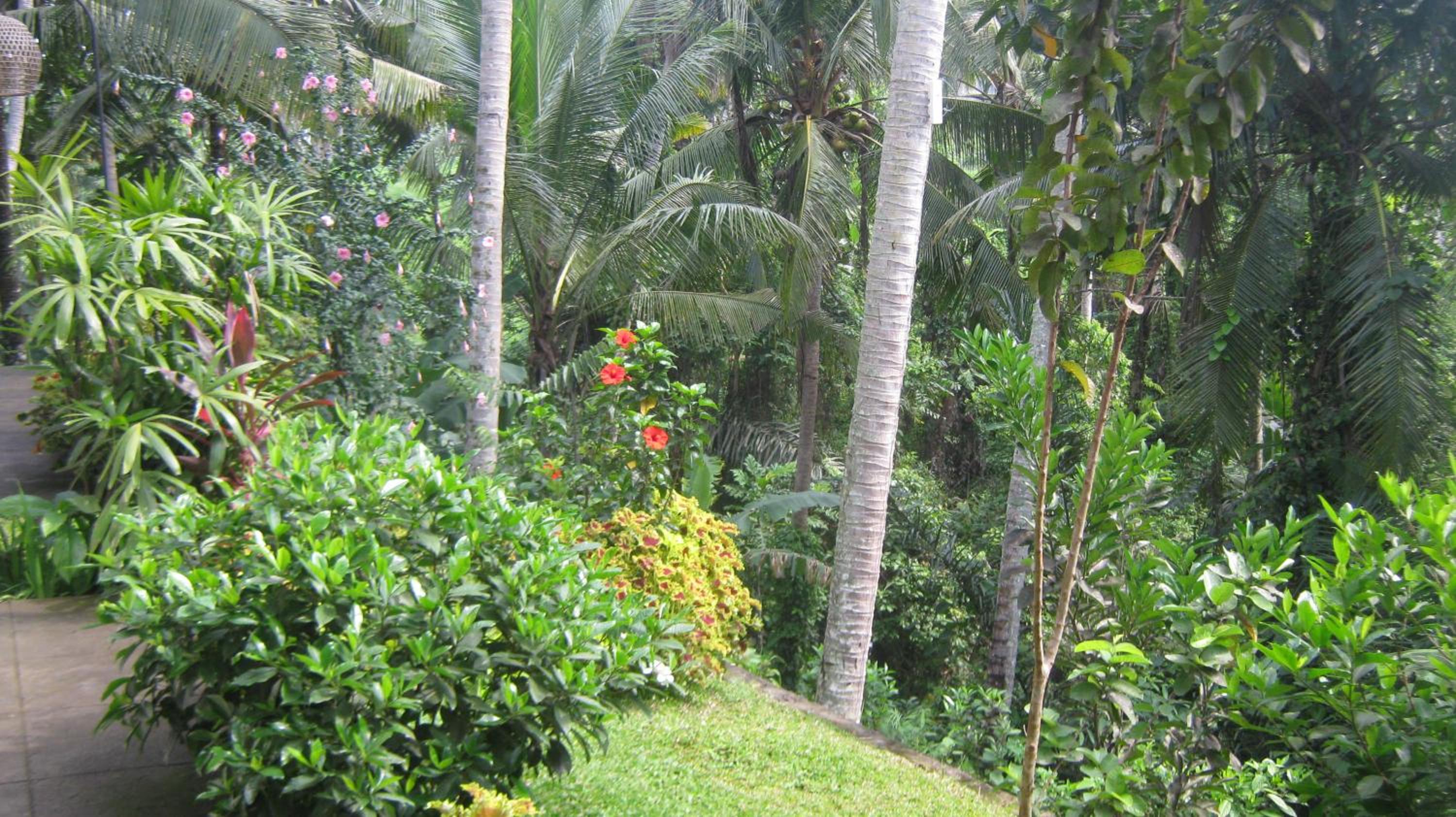 Mahanadewi Villa view 3