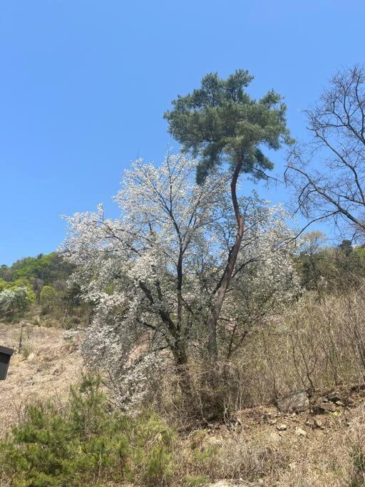 Seohuri Pension