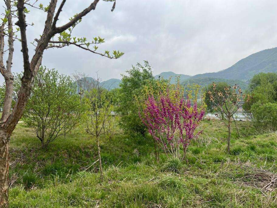 Seohuri Pension