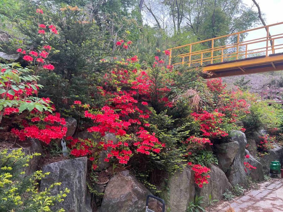 Seohuri Pension