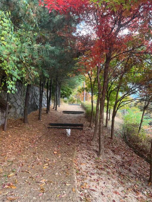 Seohuri Pension