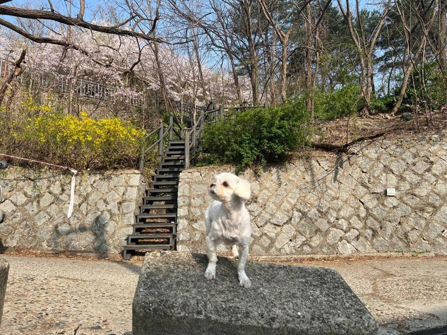 Seohuri Pension