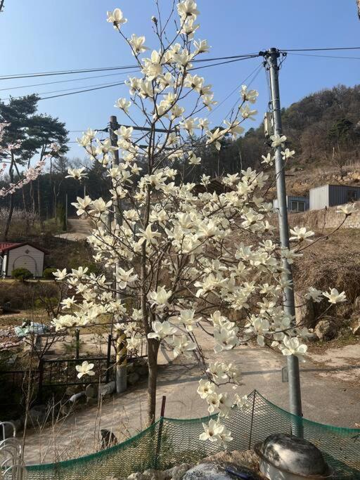 Seohuri Pension