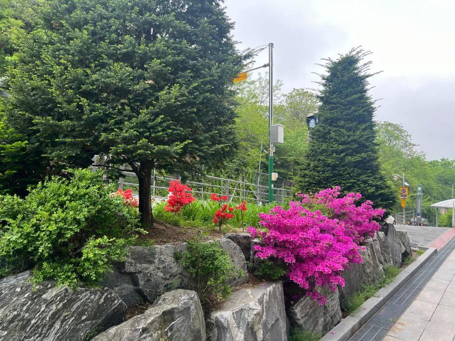 Seohuri Pension