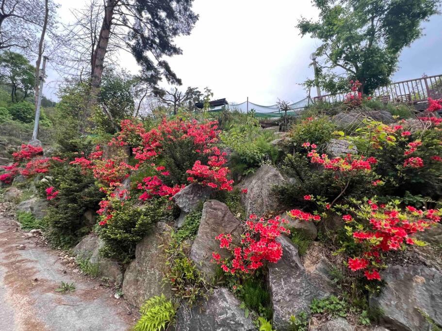 Seohuri Pension