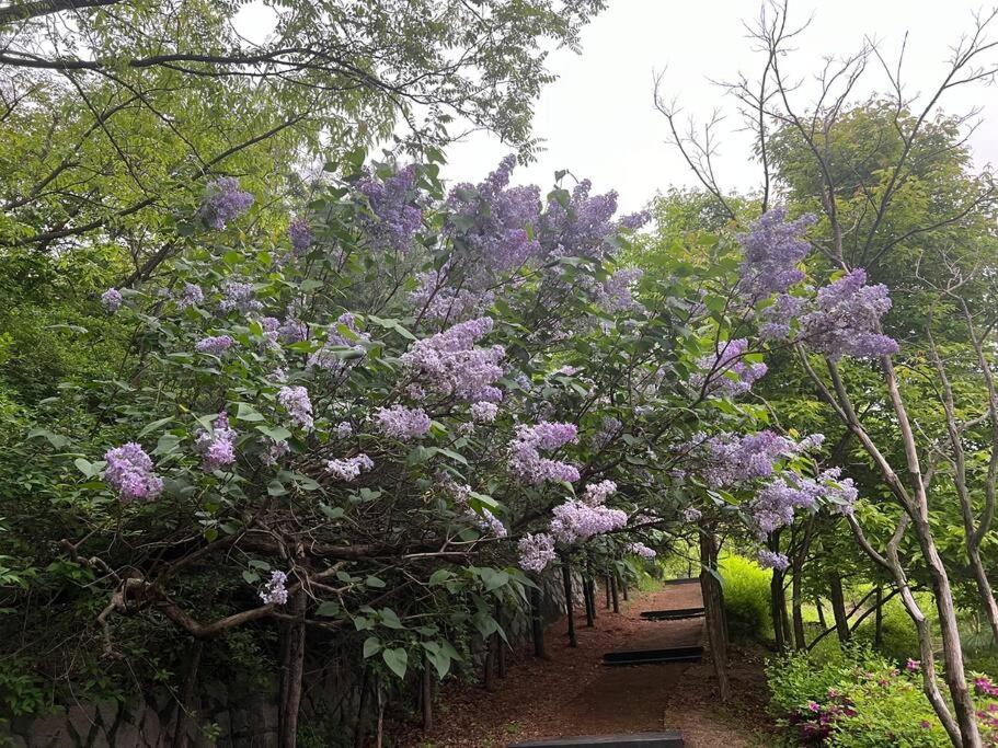 Seohuri Pension