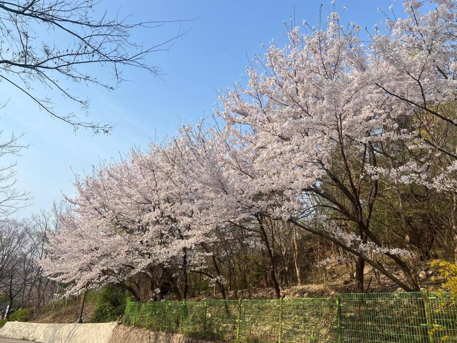 Seohuri Pension