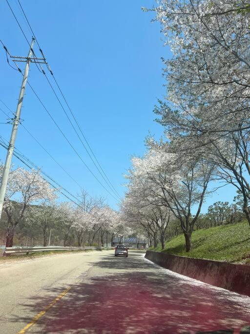 Seohuri Pension