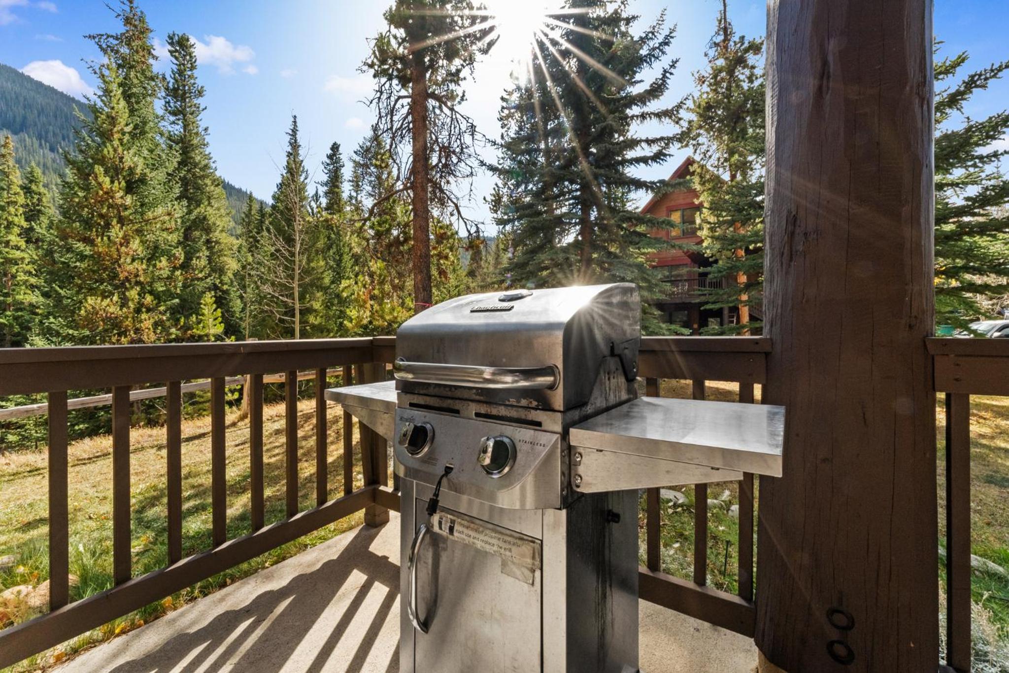 barbecue & terrace