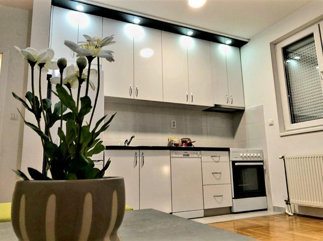 Hollywood Apartman Bjeljina