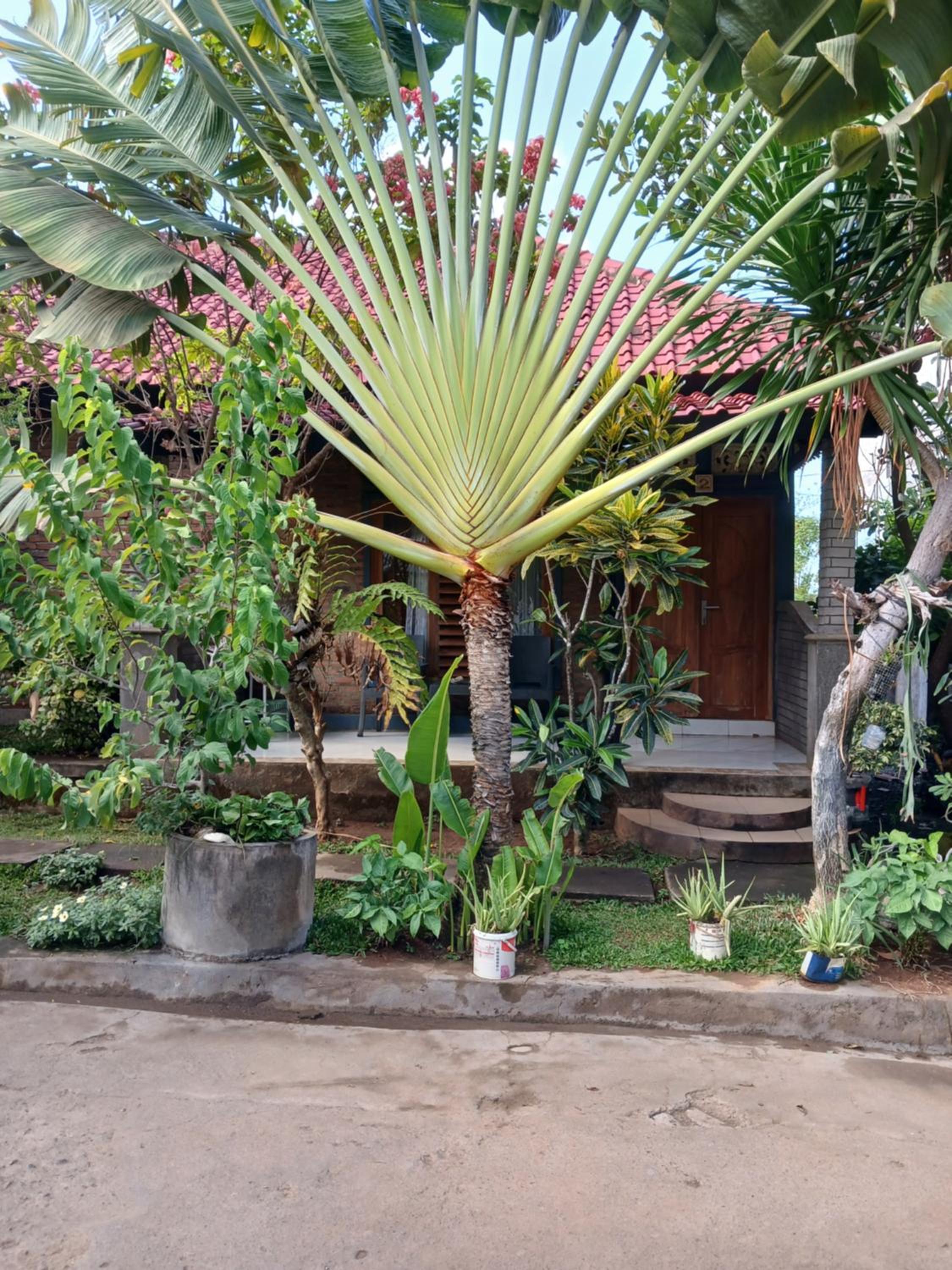 Danny juljol homestay