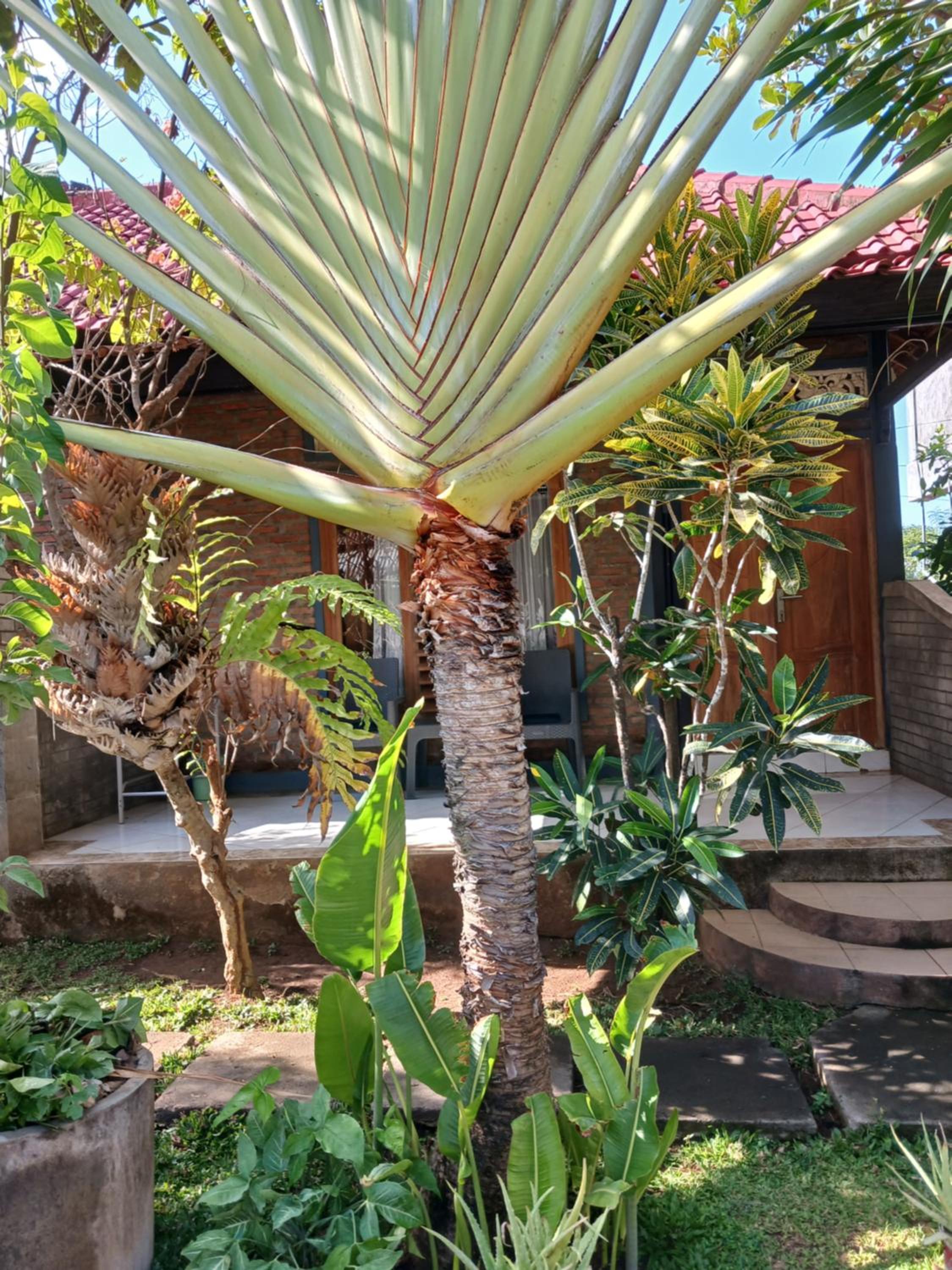 Dannyjuljolhomestay