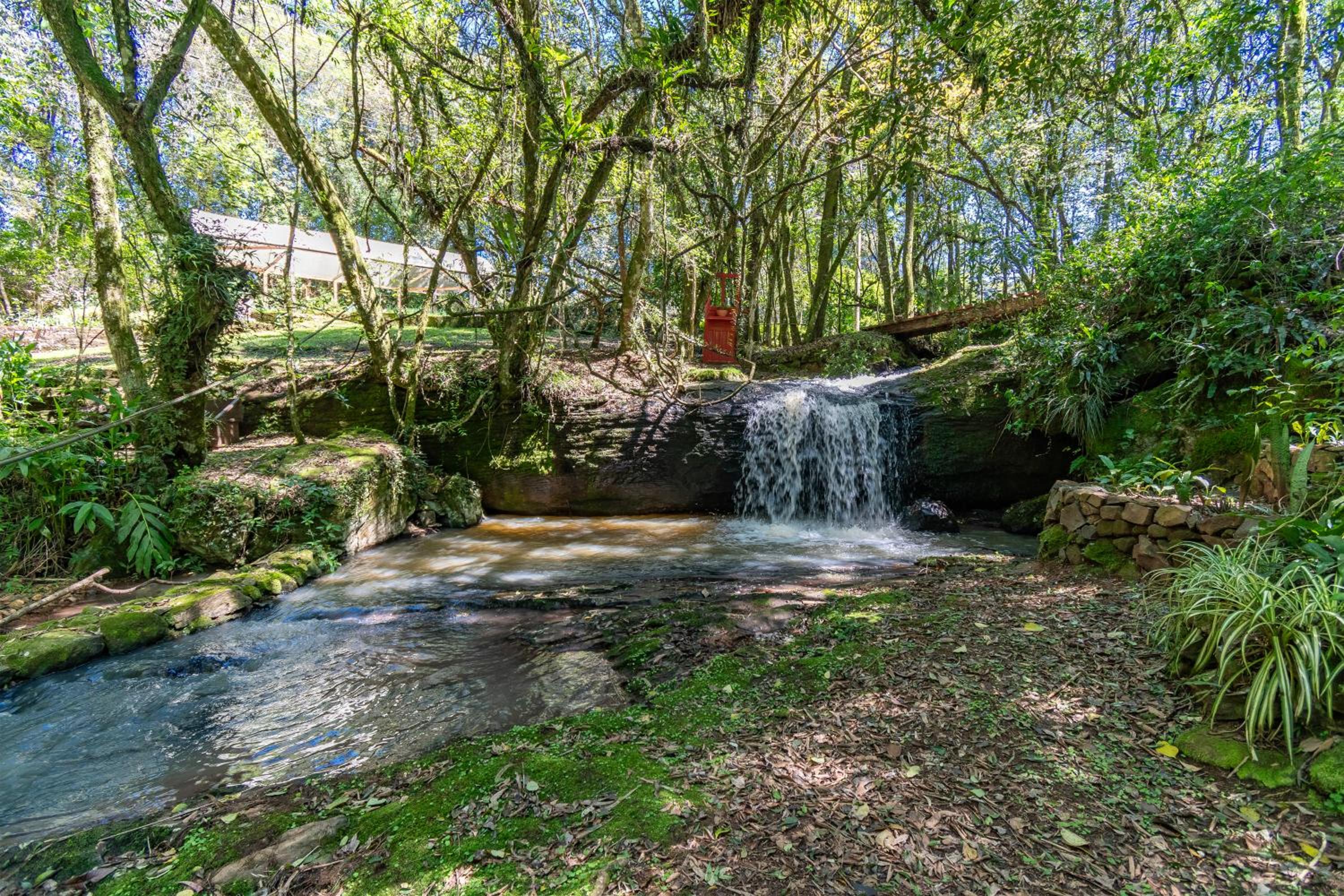 Quintal do Garnizé - Unidade João de Barro
