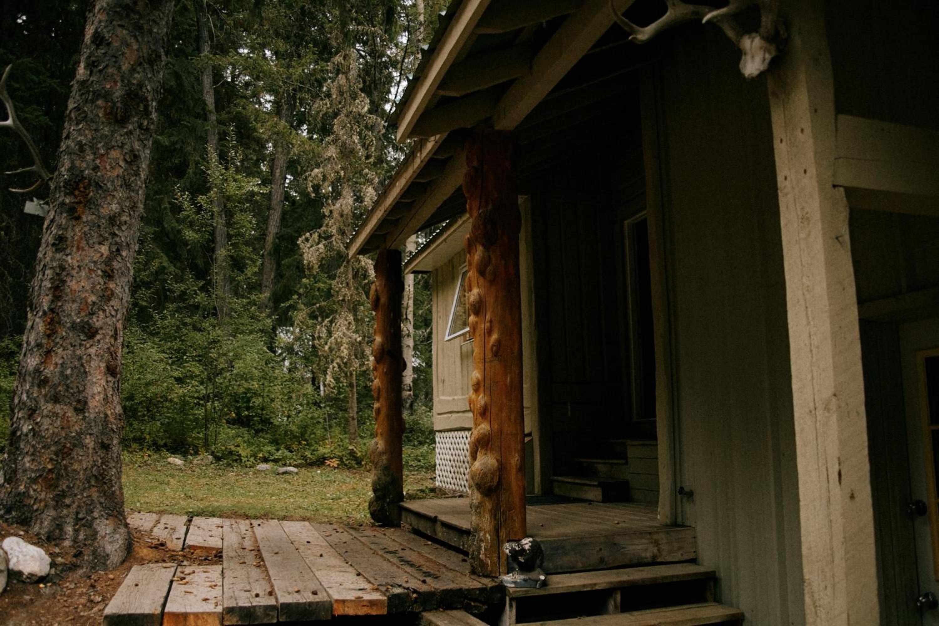 Rustic Executive Cabin at Beaverfoot