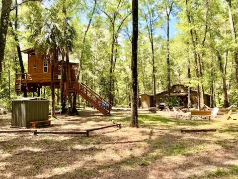 Treehouse Cabin Retreat view 3