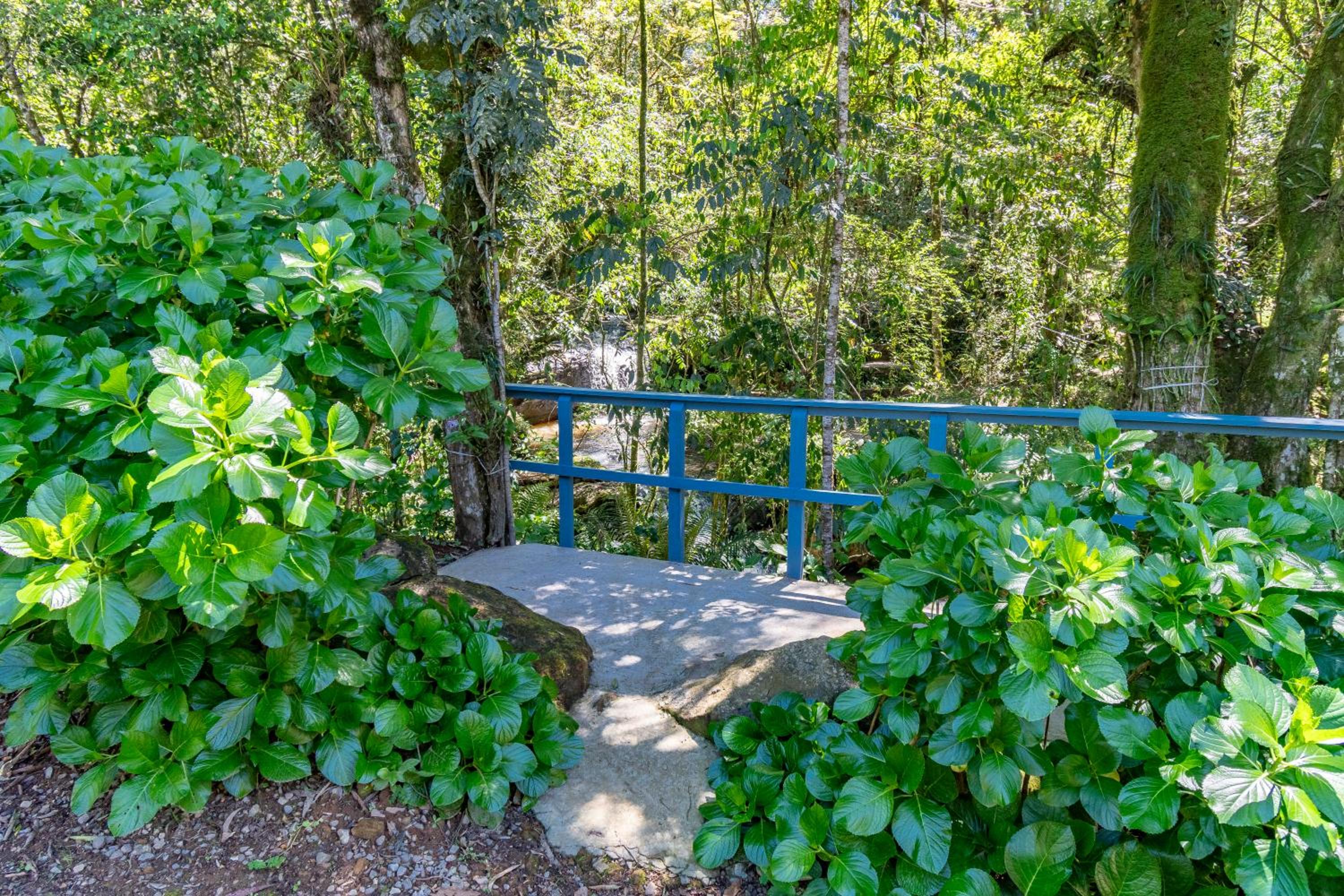 Quintal do Garnizé - Unidade João de Barro