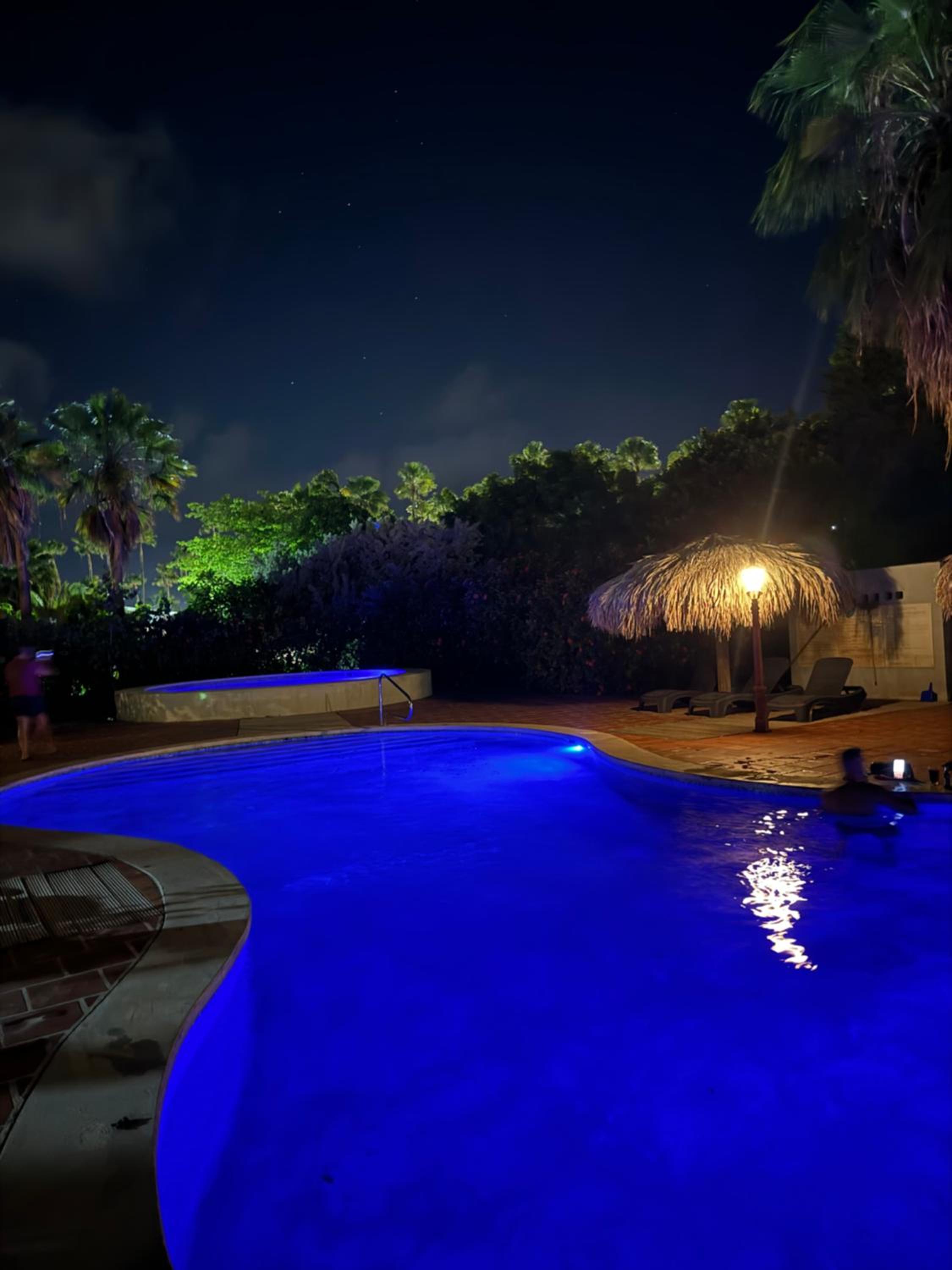 Studio Caribbean Court 320 Hele studio, 50m2, kingsize bed