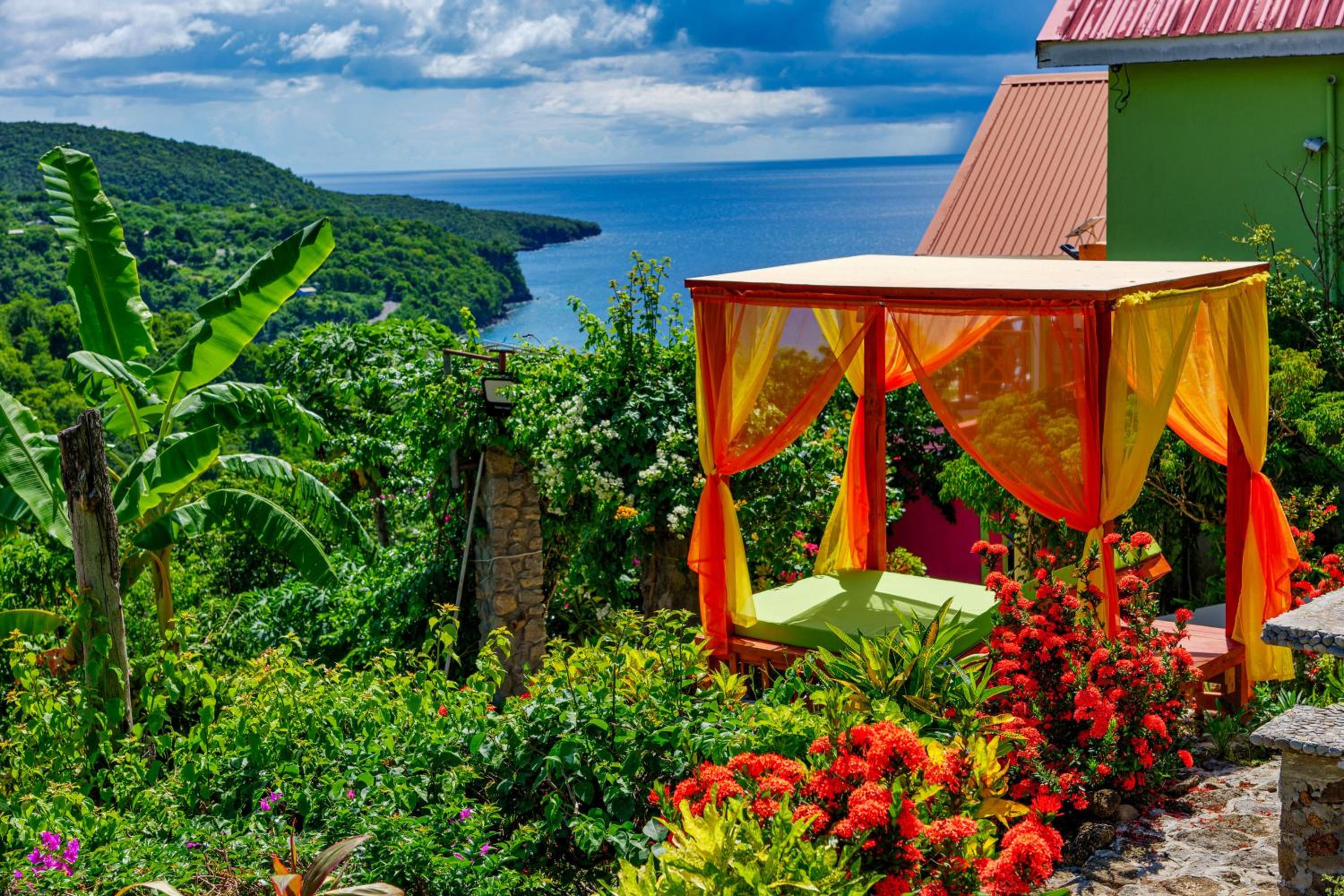 Tropical Paradise View