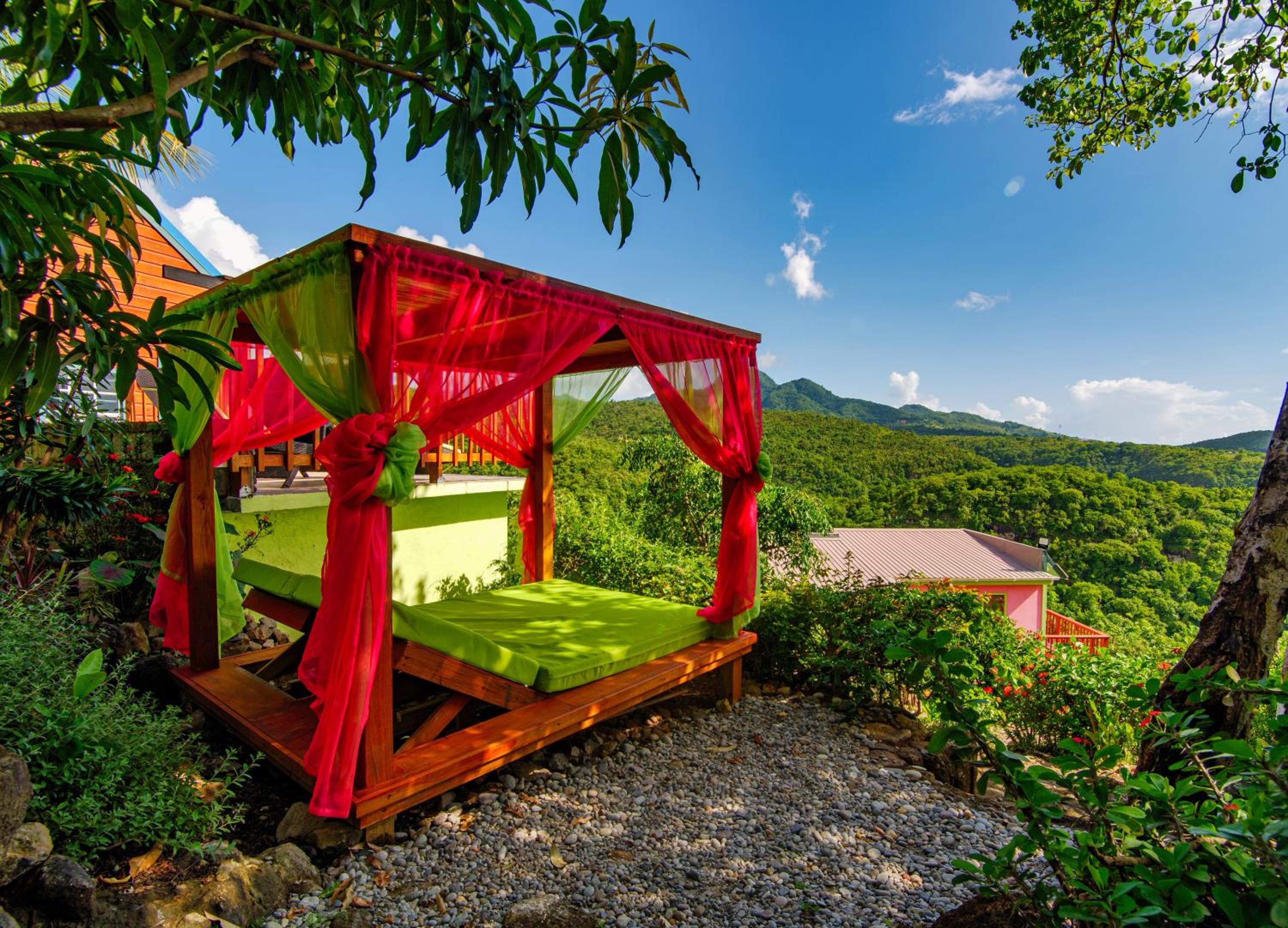 Tropical Paradise View