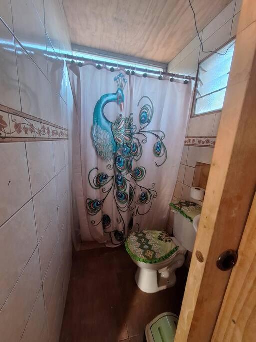 Cabaña a 15 minutos del centro