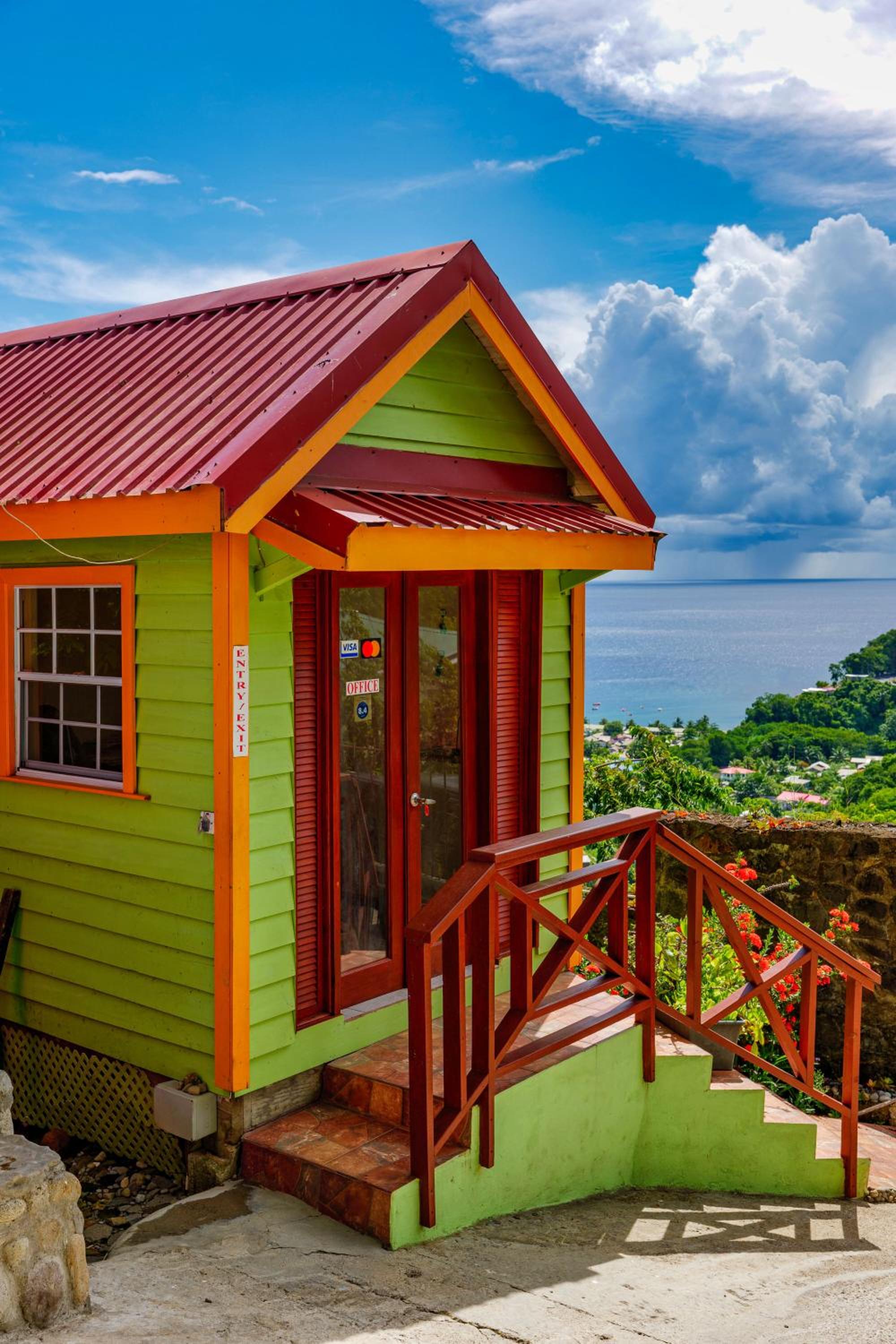 Tropical Paradise View