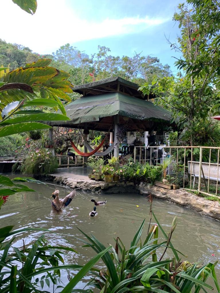 El Refugio Eco Hostal Caracolí
