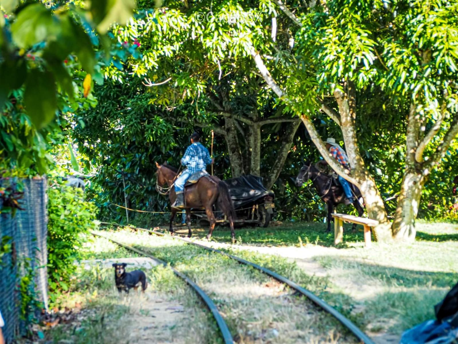 El Refugio Eco Hostal Caracolí