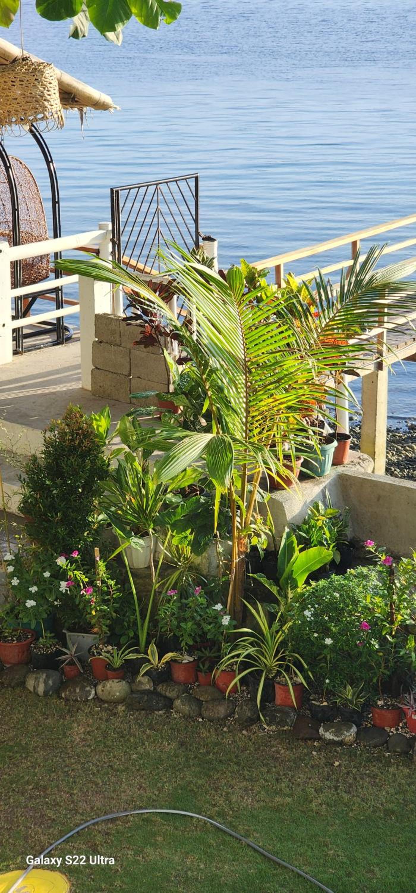 Chue&larry's Beachside Homestay view 4