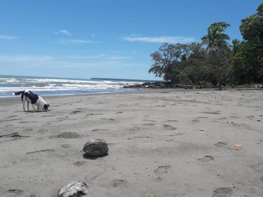 Casa Kike Cahuita