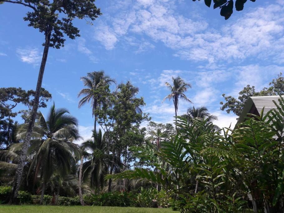 Casa Kike Cahuita